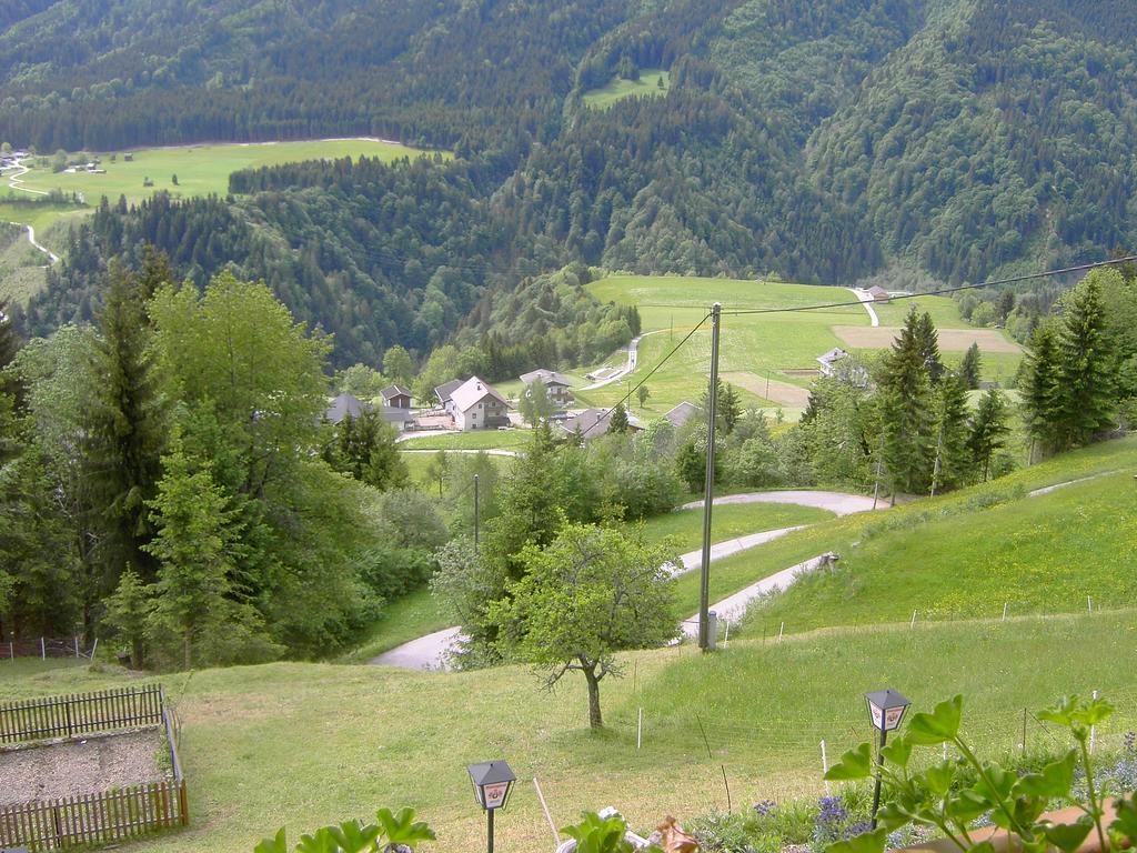 Hotel Alpenhof Strenge à Birnbaum Extérieur photo