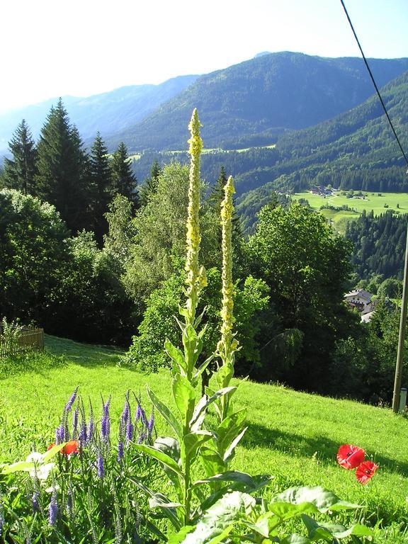 Hotel Alpenhof Strenge à Birnbaum Extérieur photo