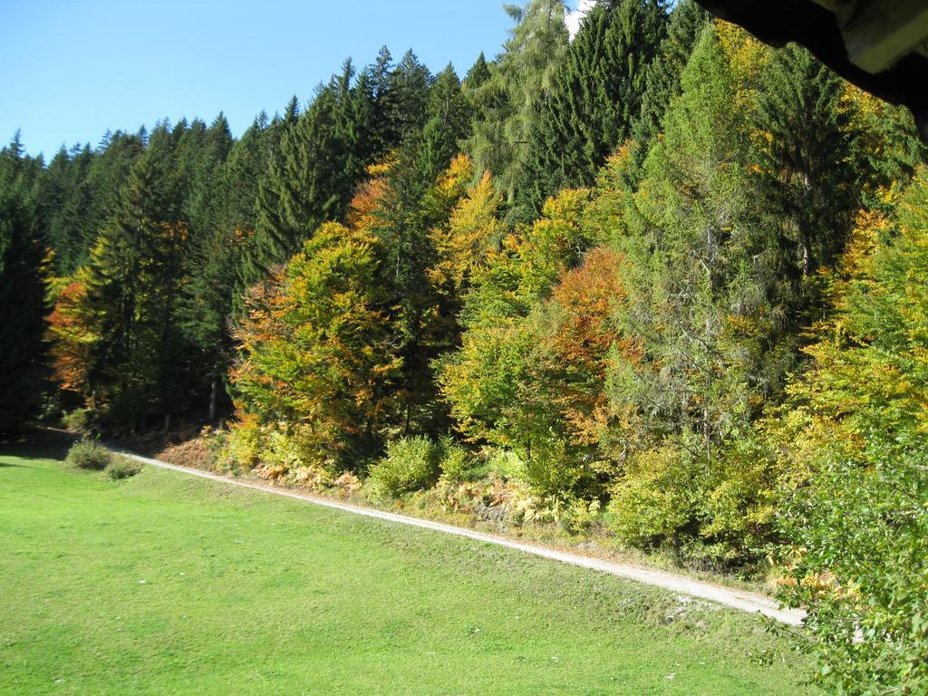Hotel Alpenhof Strenge à Birnbaum Extérieur photo