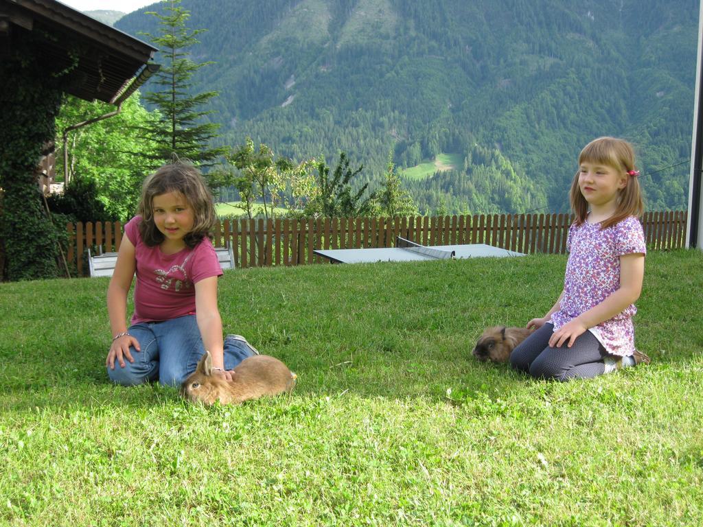 Hotel Alpenhof Strenge à Birnbaum Extérieur photo