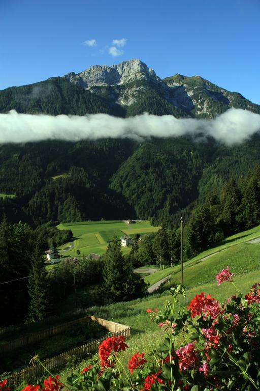 Hotel Alpenhof Strenge à Birnbaum Extérieur photo