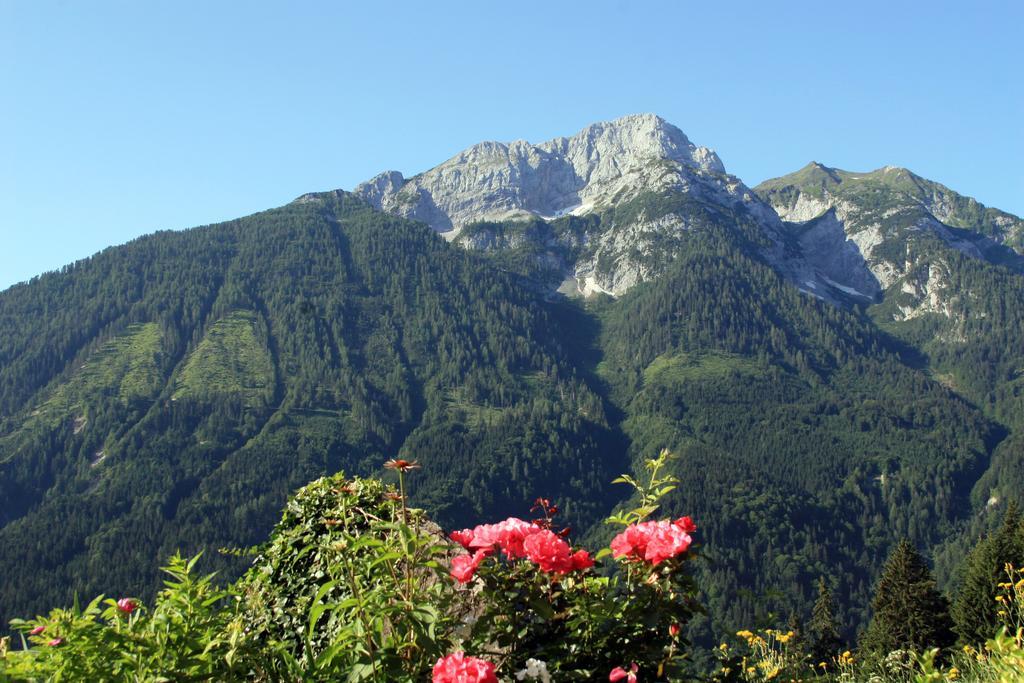 Hotel Alpenhof Strenge à Birnbaum Extérieur photo
