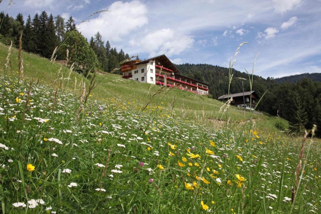 Hotel Alpenhof Strenge à Birnbaum Extérieur photo